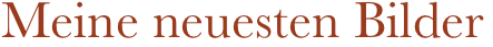 Meine neuesten Bilder